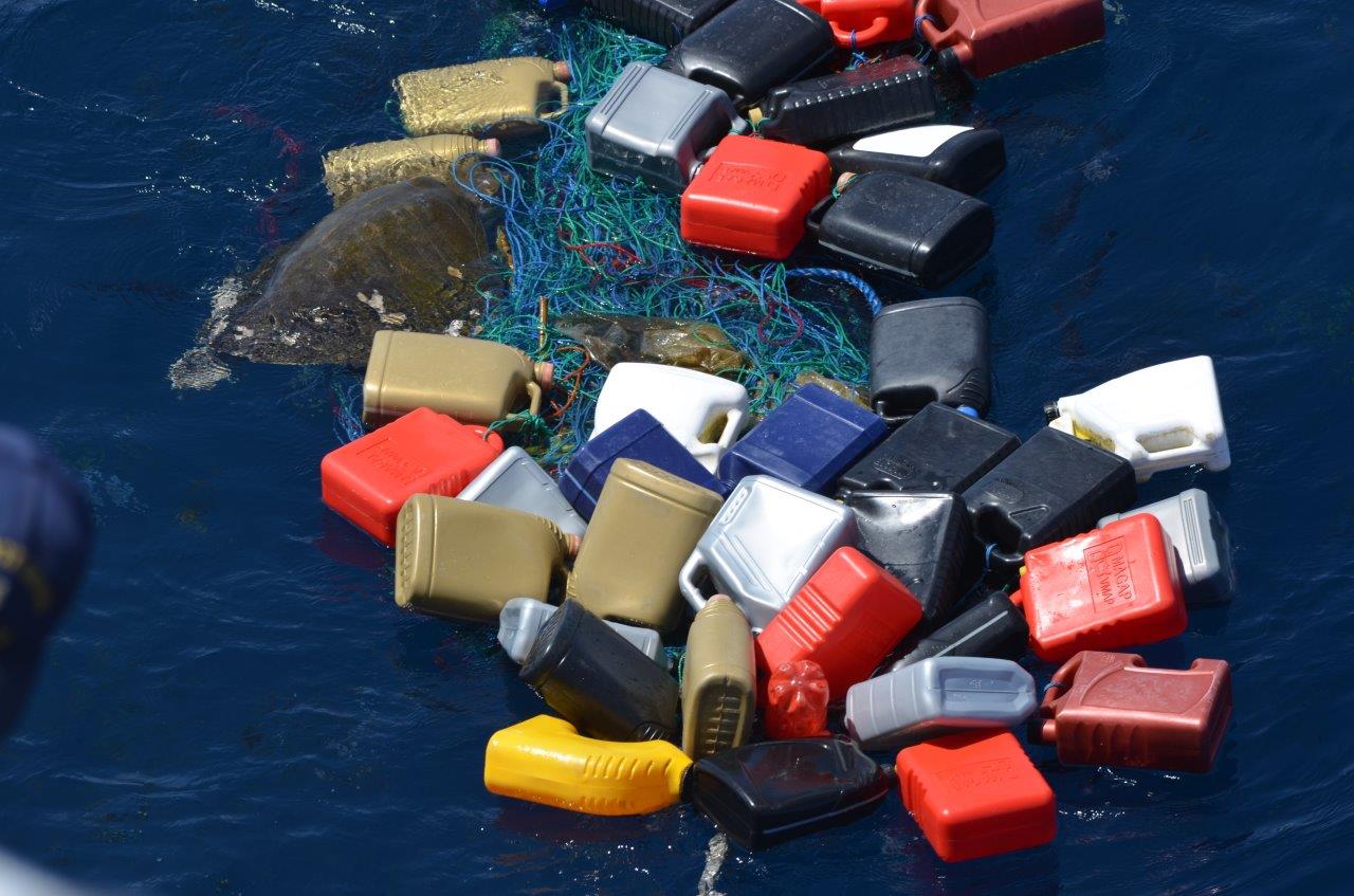 Skildpadde og plastic i havet